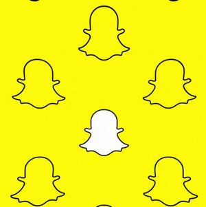 3 Month Snap access!