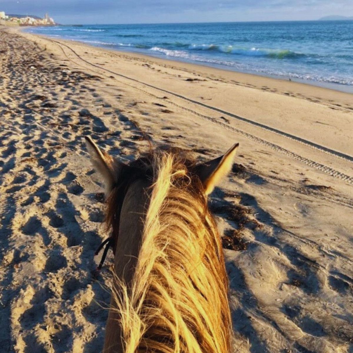 Horseback riding for me!