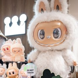 Labubu Mystery Box for me!
