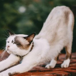 A stretching class for me!