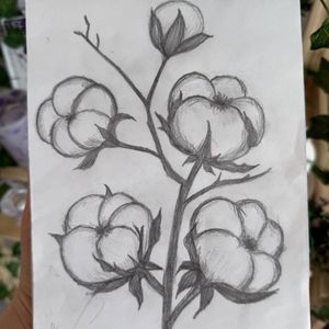 My art