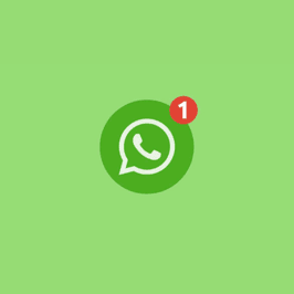Private Whats App Access