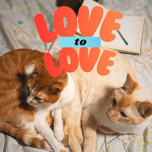 Love to love