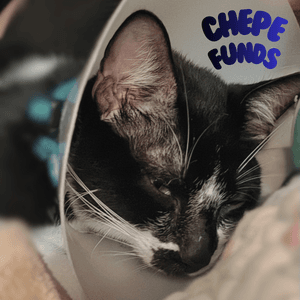 Chepe funds