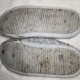 Dearfoams House Shoes size 7 8