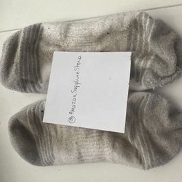 72hr Wear Used Socks