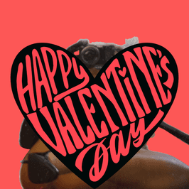 Videogirl Valentine Card