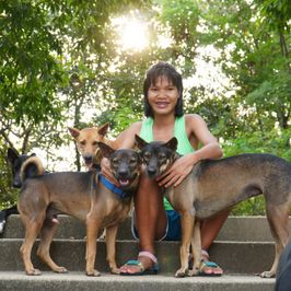 Food for Street Animals