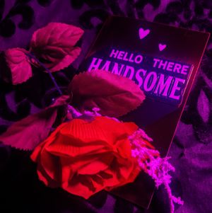 Love Valentines Day Bundle!