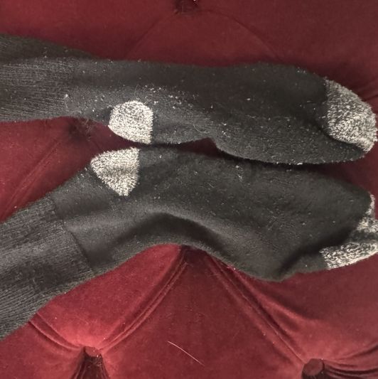 used Bandit socks