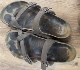 Worn Birkenstocks