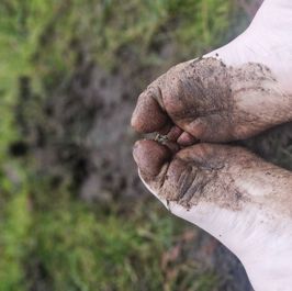 Watch my sweet cozy feet get dirty in the mud!