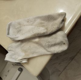 1 day used socks