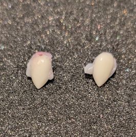 Used Fake Fangs