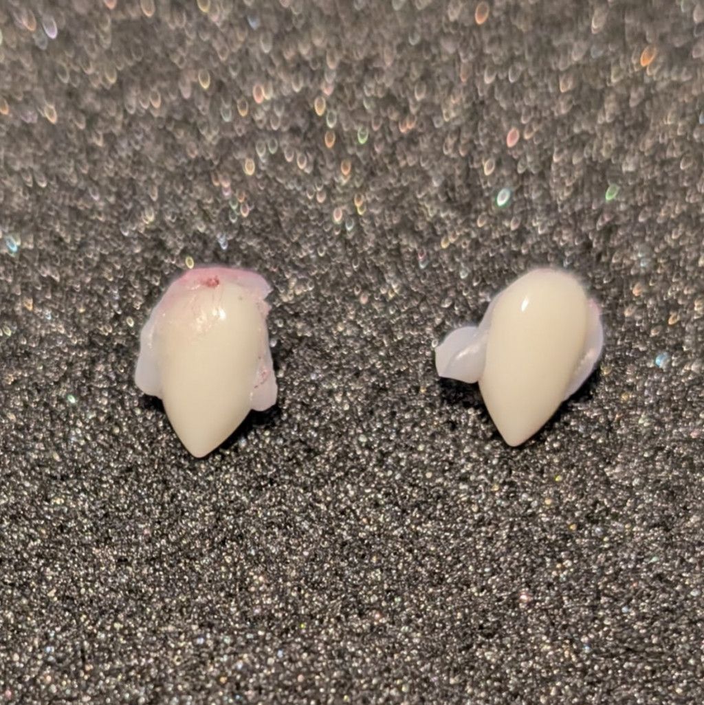 Used Fake Fangs