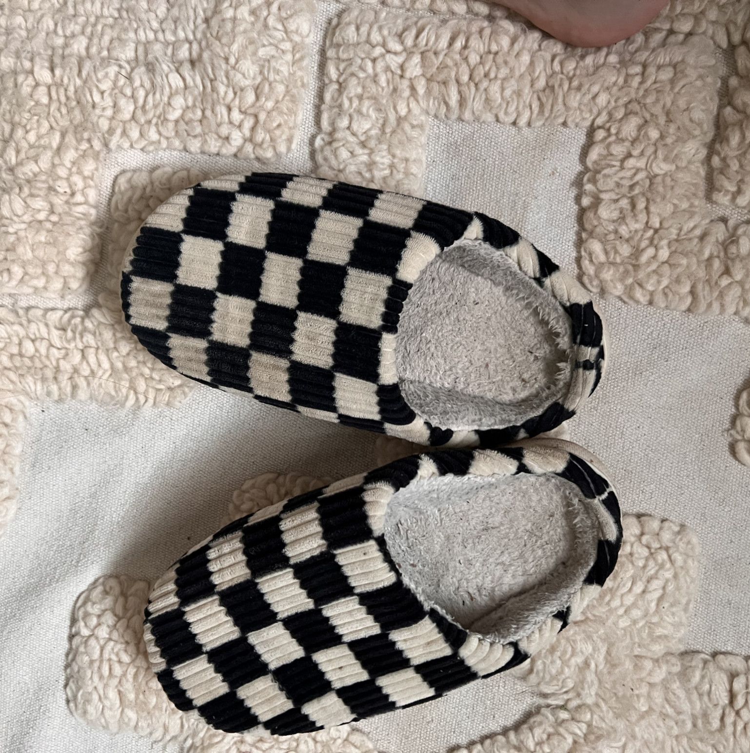 Nasty house slippers