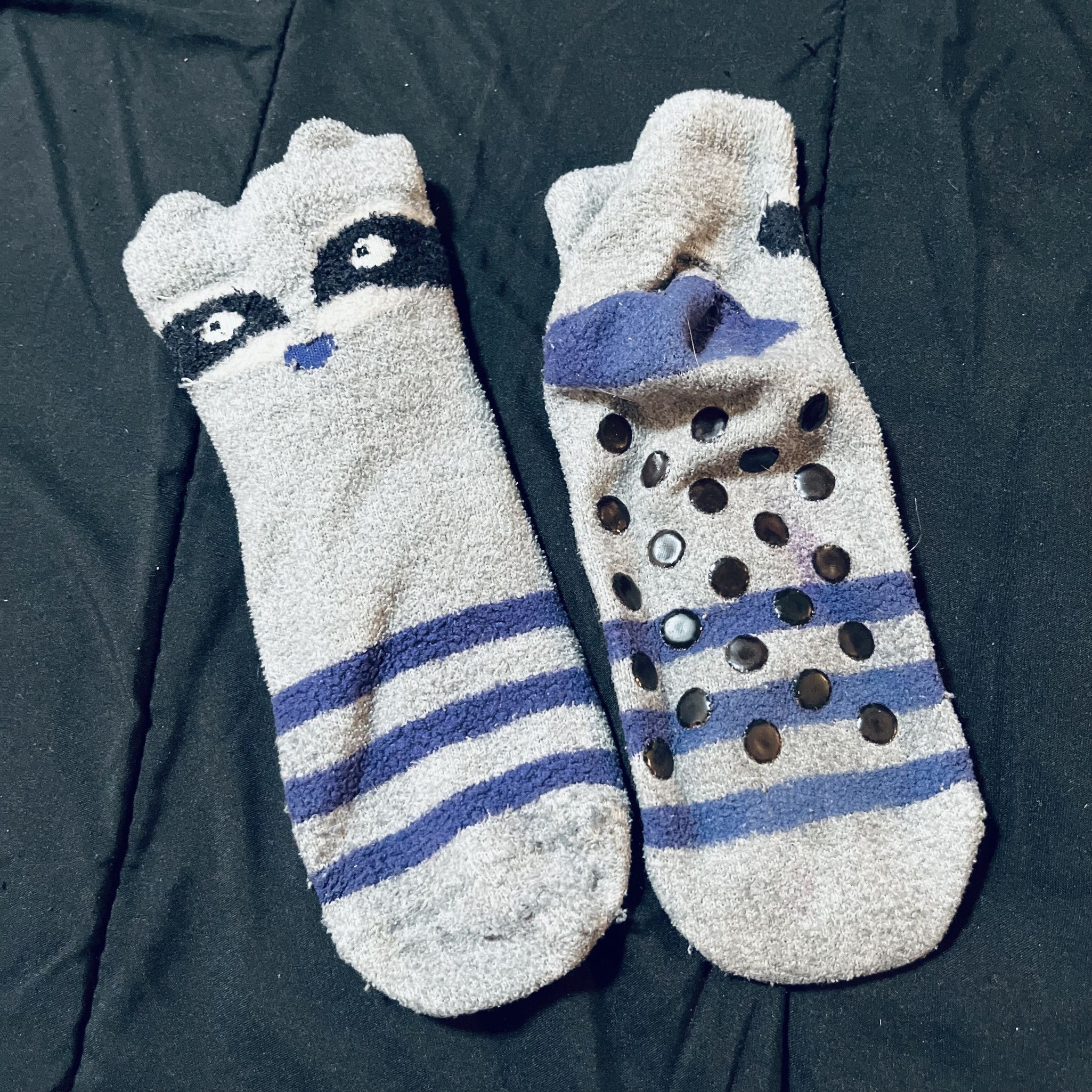 Raccoon grippy socks