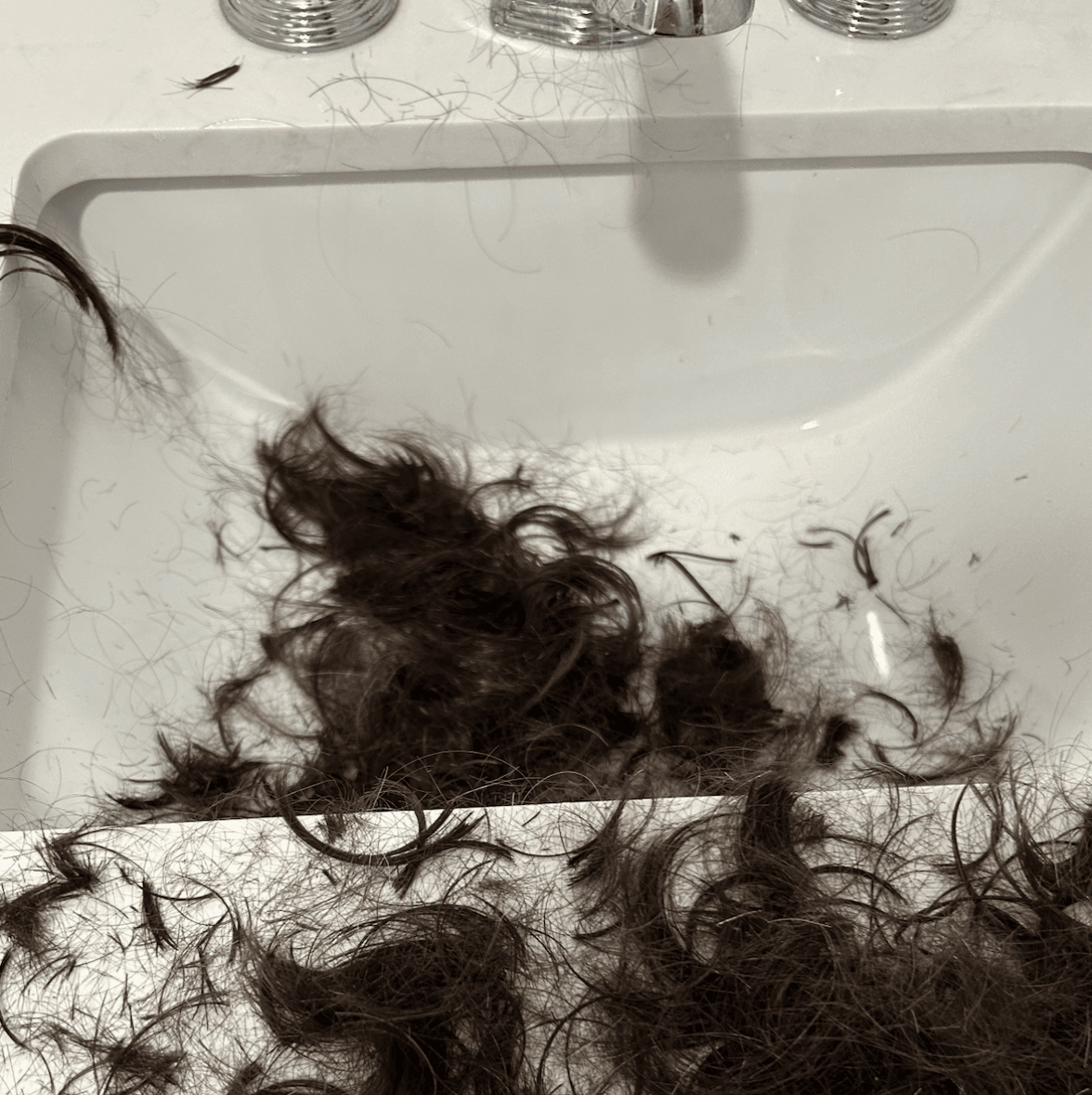 Bag of hair from shave