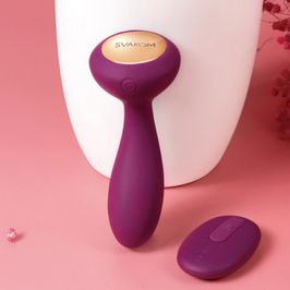 Anal Plug Vibrator Remote Control
