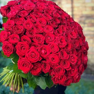 Buy me Flowers