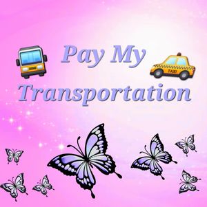 Pay For My Transportation