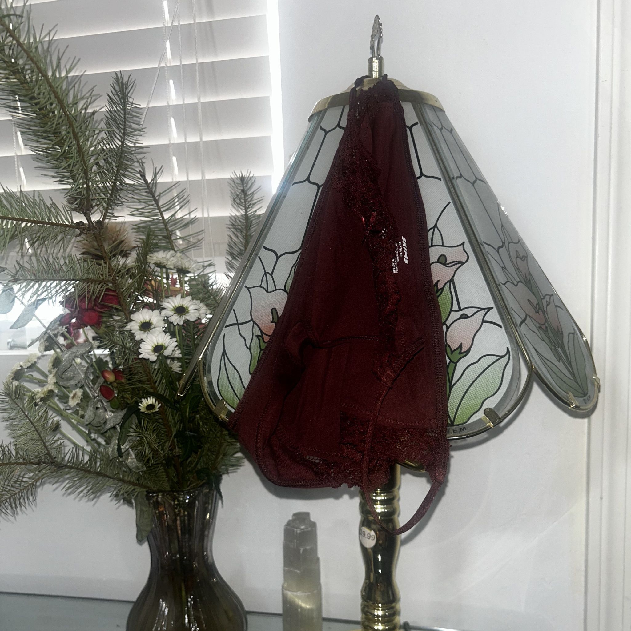 a pair of used panties