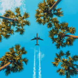 Help pay for my flight July