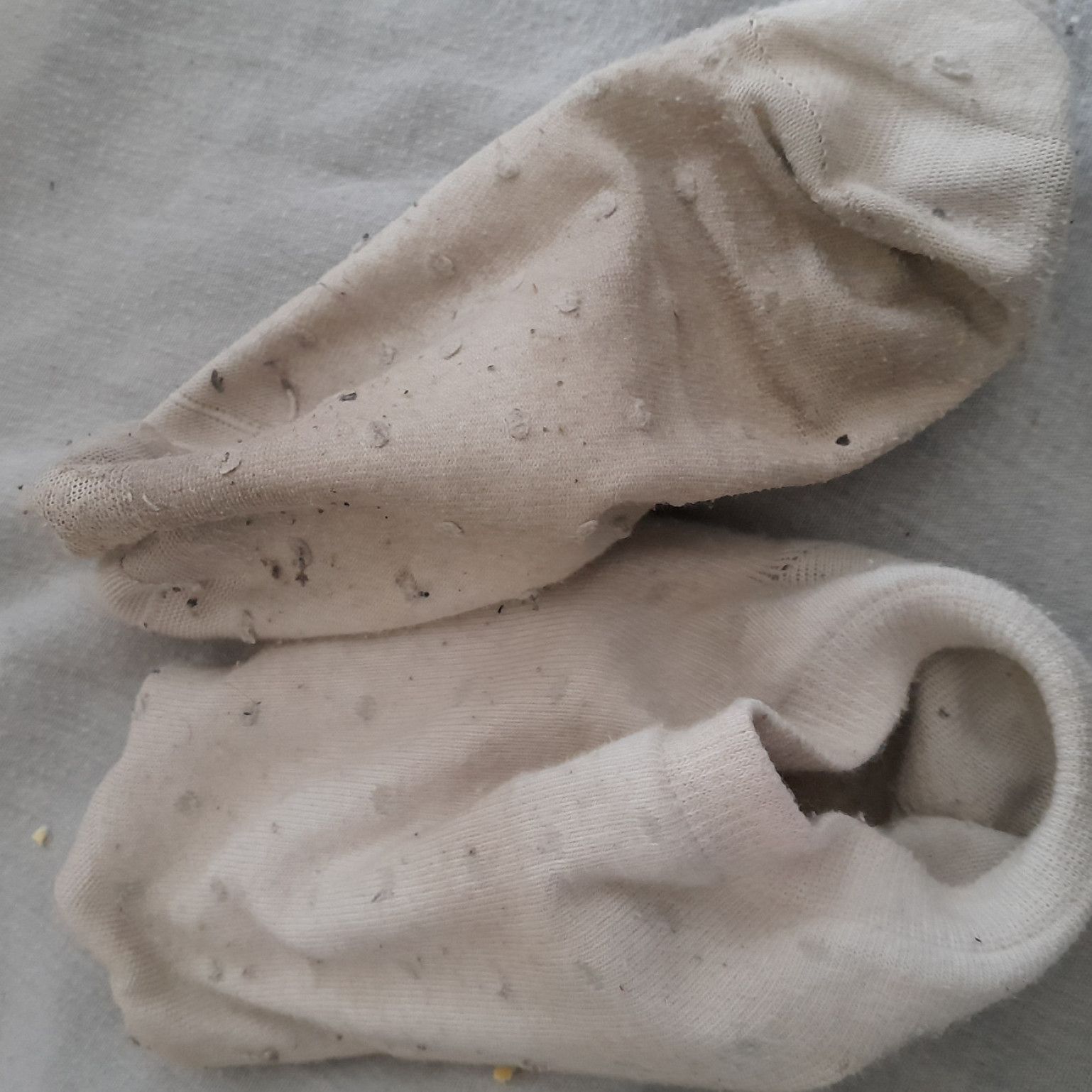 Chaussettes