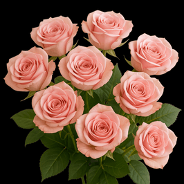 Treat me with roses