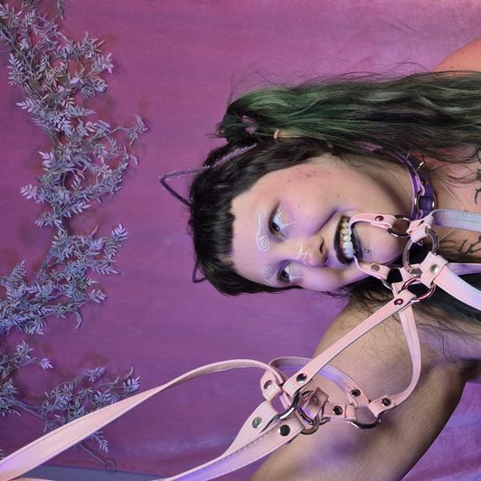 Pink Harness