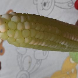 9 inch corn dildo and rose vibrating dildo
