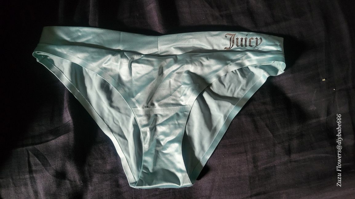 Juicy couture silky nylon panties