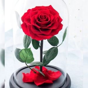 I want you to pamper me with a beautiful eternal rose you w