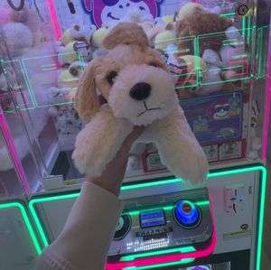 Arcade Money