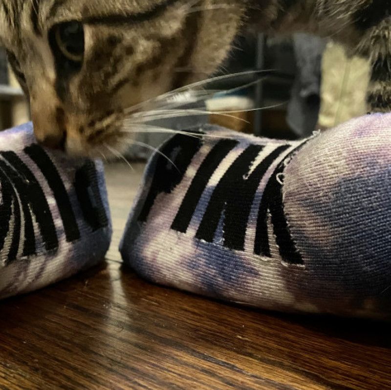 Worn Socks
