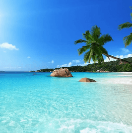 SPONSOR MY TRIP TO MAURITIUS