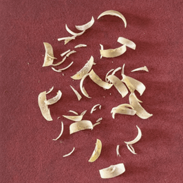 5 Finger Nail clippings
