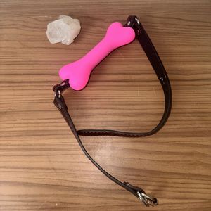 My Sexy Gagball