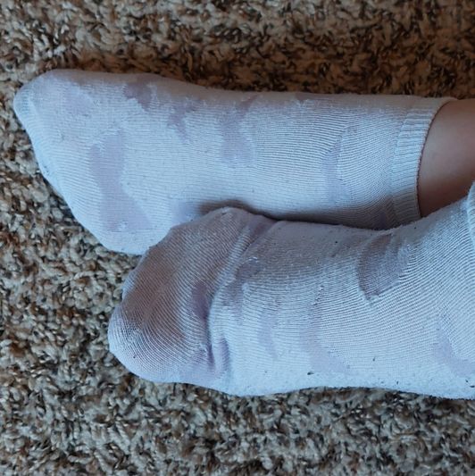 white butterfly socks