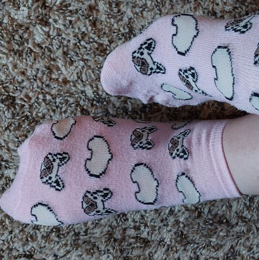 pink doggy socks