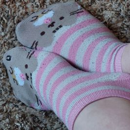cupcake cat socks
