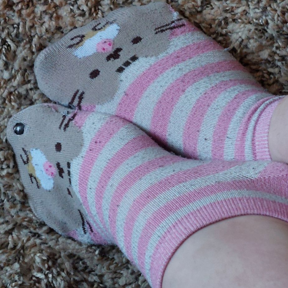 cupcake cat socks