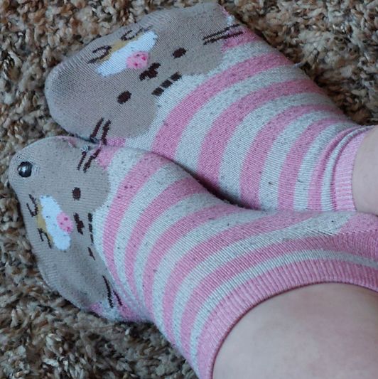 cupcake cat socks