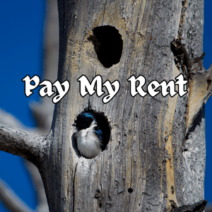 Pay My Rent