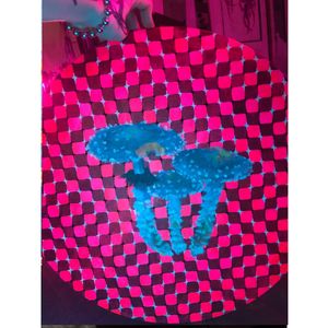 Painting 7 Shrooms
