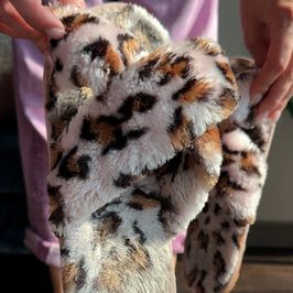 Wild Whispers in Leopard Slippers
