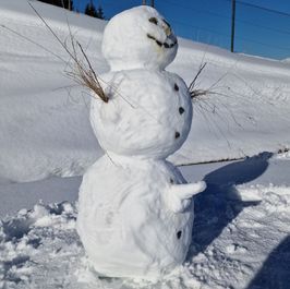 Snowman gets a blow job photo set