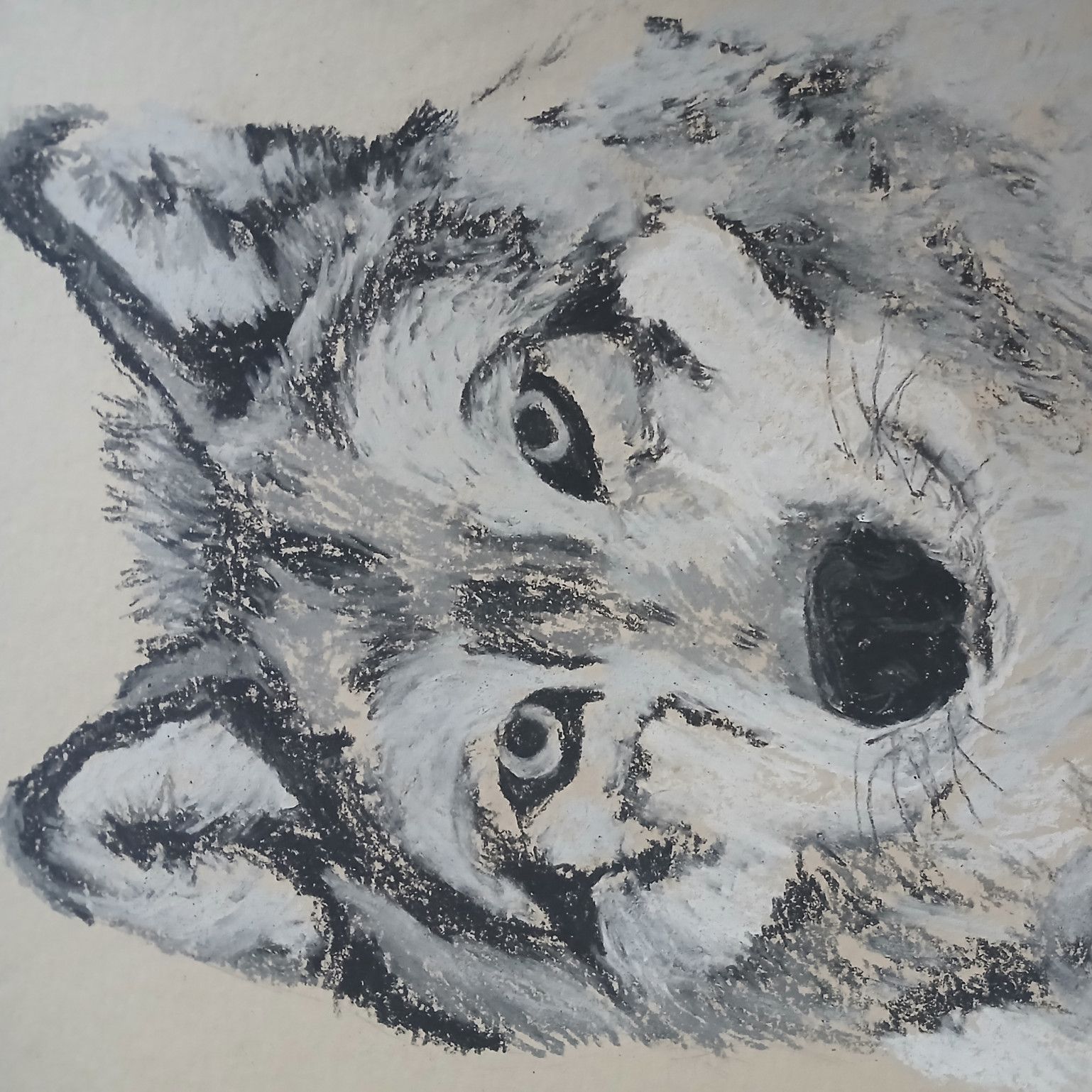 Be Fierce Wolf Charcoal Drawing
