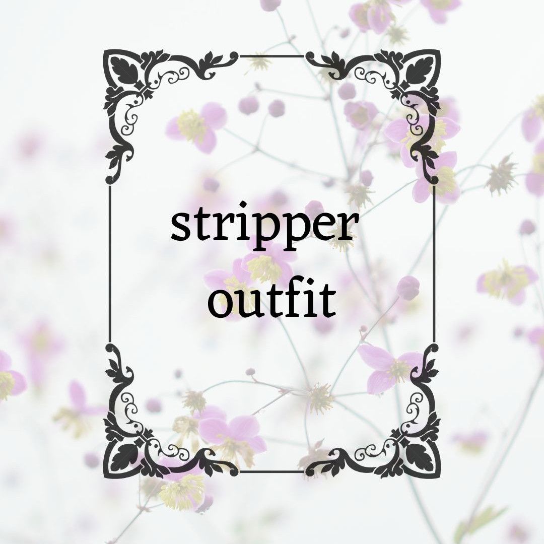 Stripper Outfit