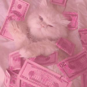 PAY MY MORTGAGE